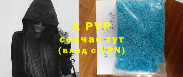 спиды Кукмор