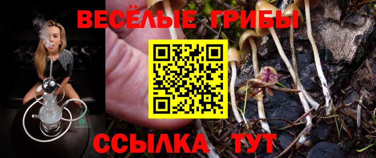 Псилоцибиновые грибы мицелий Иваново